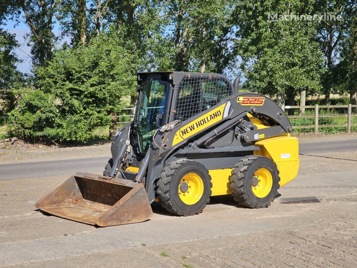 New Holland L225 skid steer for sale Ukraine Chernovtsy, EL36645