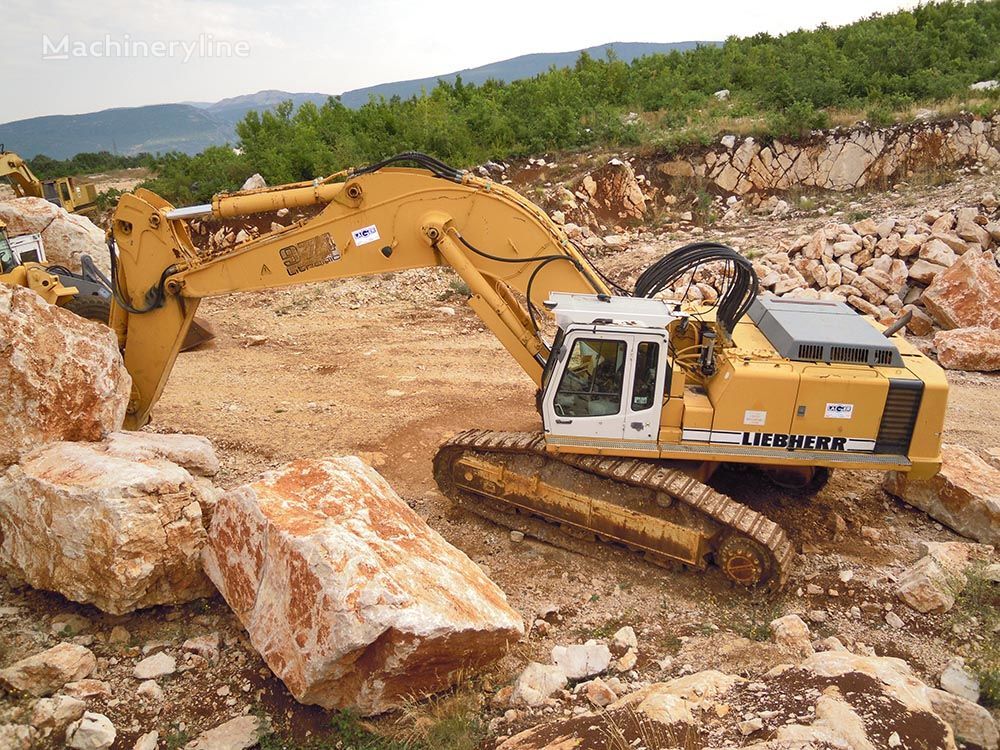 Liebherr R974BHD tracked excavator