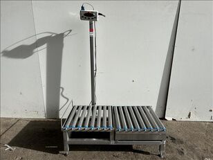 Grupo Epelsa Roller conveyor scale other weighing equipment