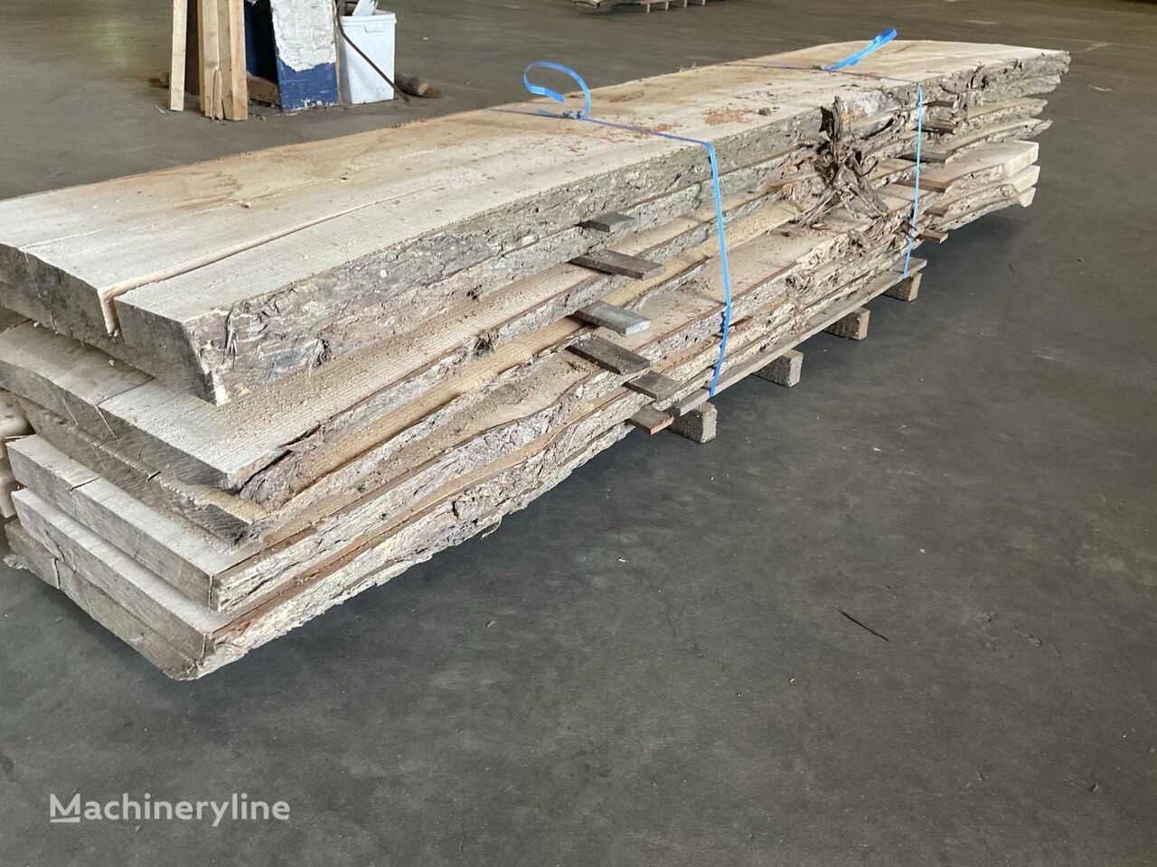Iepen stam wooden plank