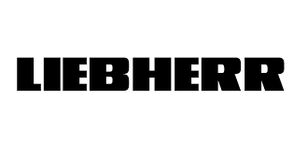 Liebherr 746607008 bearing