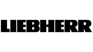 Liebherr 10115838 pan gasket for Liebherr excavator